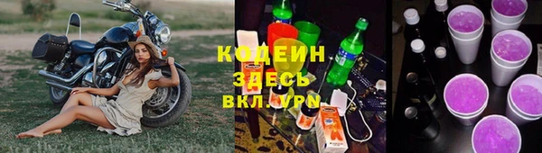 шишки Гусиноозёрск