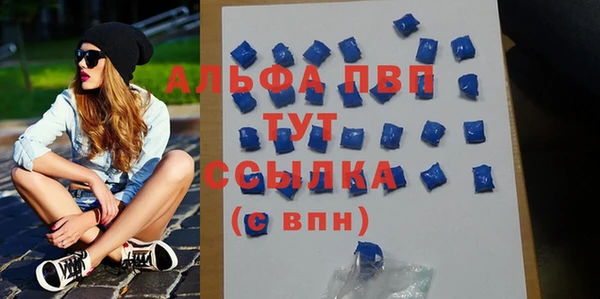 шишки Гусиноозёрск