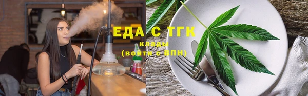 шишки Гусиноозёрск
