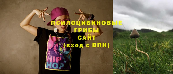 a pvp Гусев