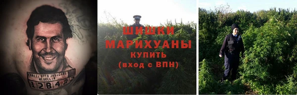 a pvp Гусев