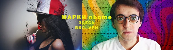 шишки Гусиноозёрск