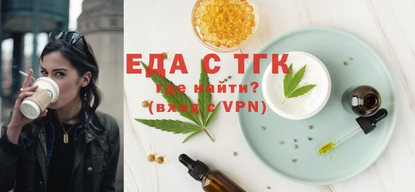 шишки Гусиноозёрск