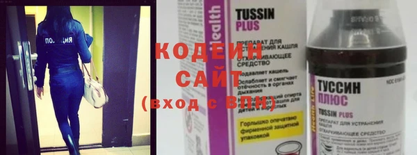 шишки Гусиноозёрск