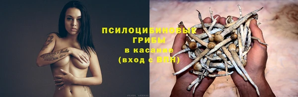 кристаллы Гусь-Хрустальный