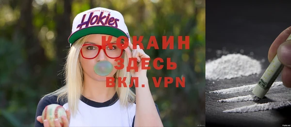 шишки Гусиноозёрск