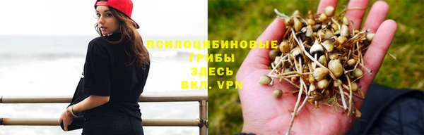 a pvp Гусев