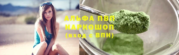 шишки Гусиноозёрск