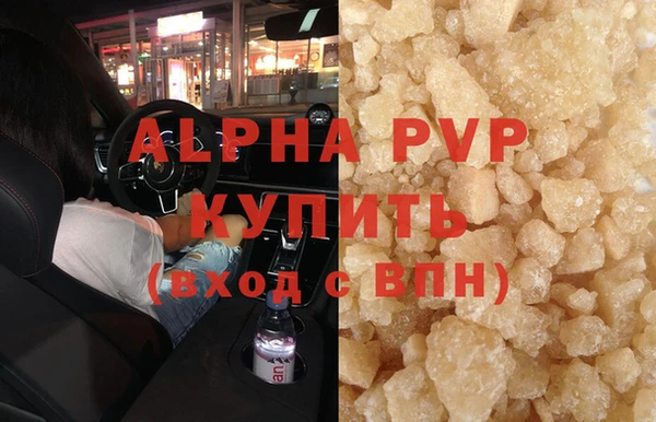 шишки Гусиноозёрск