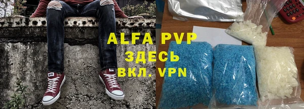 шишки Гусиноозёрск