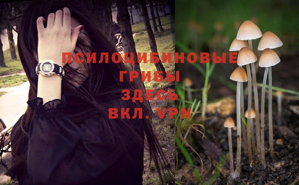 a pvp Гусев