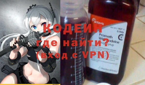 шишки Гусиноозёрск