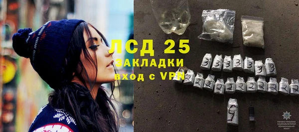 шишки Гусиноозёрск