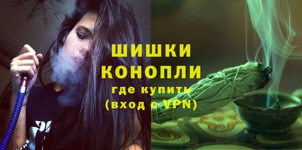 шишки Гусиноозёрск