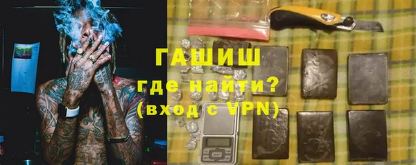 шишки Гусиноозёрск