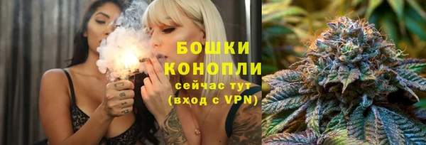 шишки Гусиноозёрск